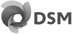 DSM logo