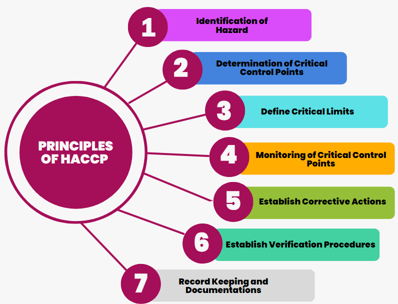 12 Step Guide for Successful Implementation of HACCP