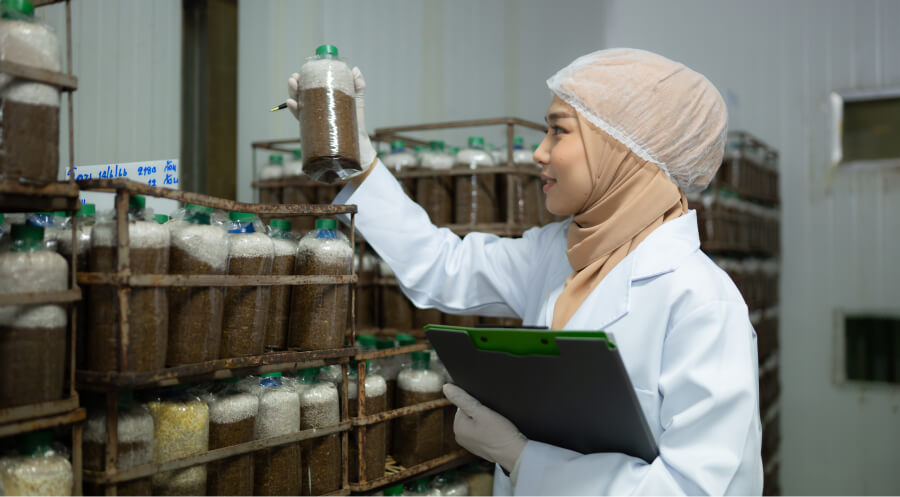 What is a Halal Audit? All You Need to Know