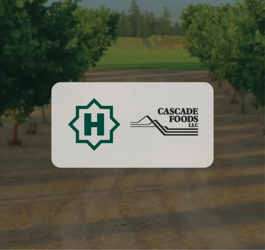 Ivanhoe logo